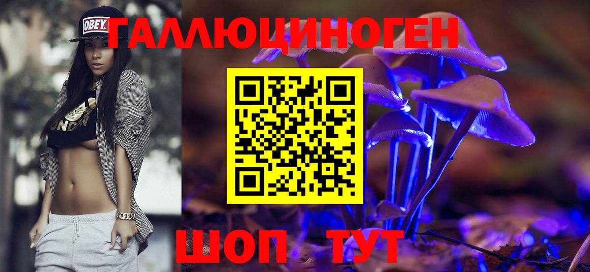Псилоцибиновые грибы MAGIC MUSHROOMS  где купить наркоту  Вход с VPN  Новоалександровск  Псилоцибиновые грибы мухоморы 