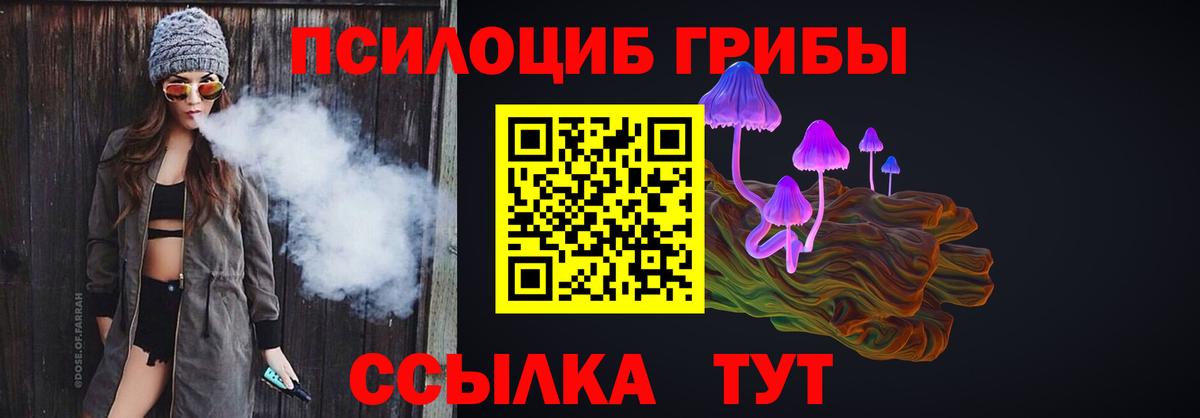 Галлюциногенные грибы мицелий Новоалександровск